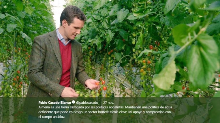 El Partido Popular echa el resto en Almería ante el avance de Vox 1 Moncloa Casado Almeria