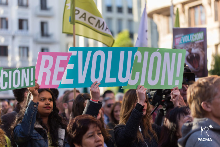 El tortazo electoral del PACMA provoca una crisis interna