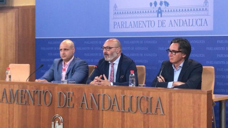 Vox quiere frenar los presupuestos de PP y Ciudadanos en Andalucía