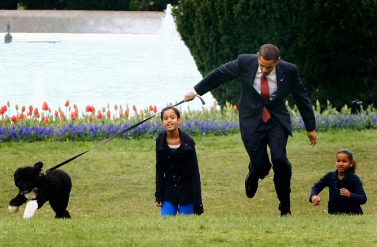 Lucas, el perro de Albert Rivera, y otras mascotas de políticos