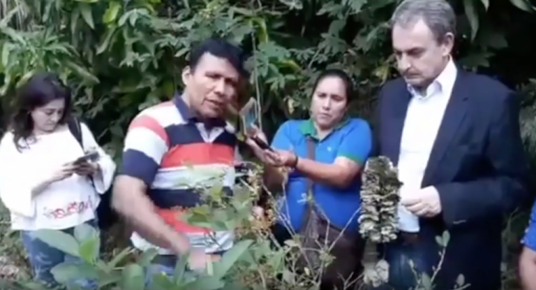 Zapatero, una narcotraficante boliviana y un campo de coca, el vídeo que arrasa