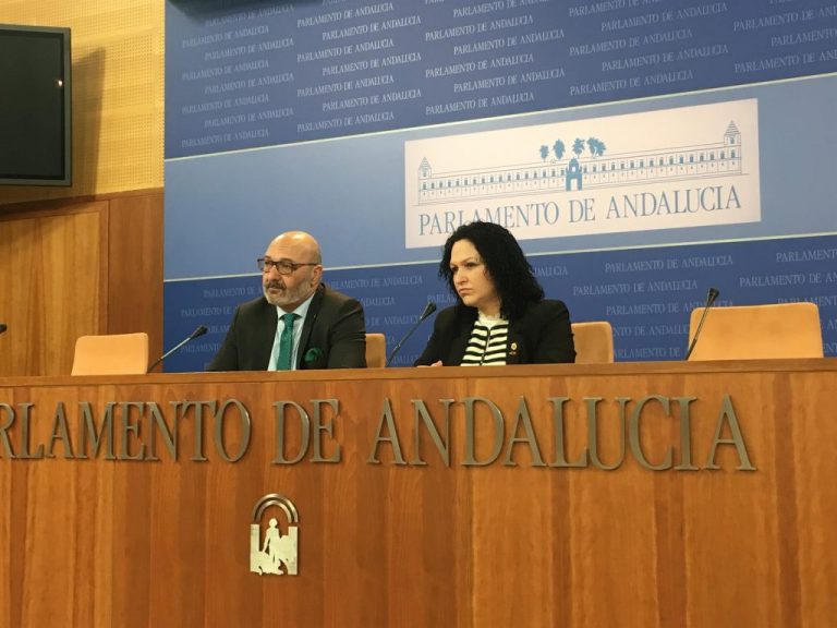 Vox destituye a su diputada por Almería y esta les acusa de «acoso laboral»