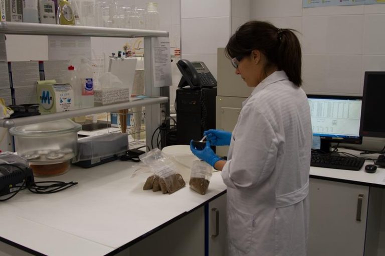 Farmaindustria recoge medidas  para impulsar la investigación de nuevos fármacos en hospitales españoles
