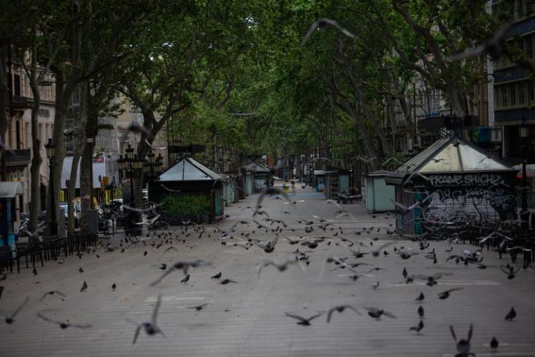Casi 6 millones de menores de 14 años darán paseos desde este domingo