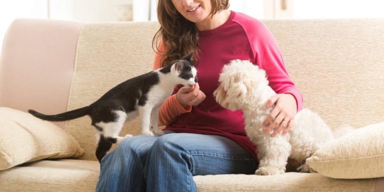 El 74% de los españoles que tiene perro o gato pasa mejor el confinamiento