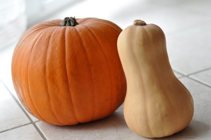 calabaza dieta