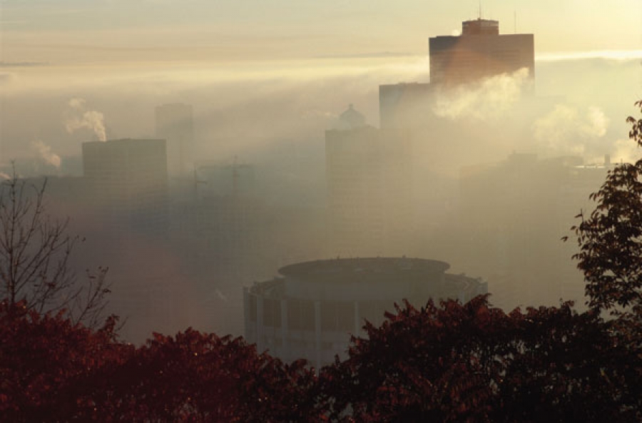 contaminación