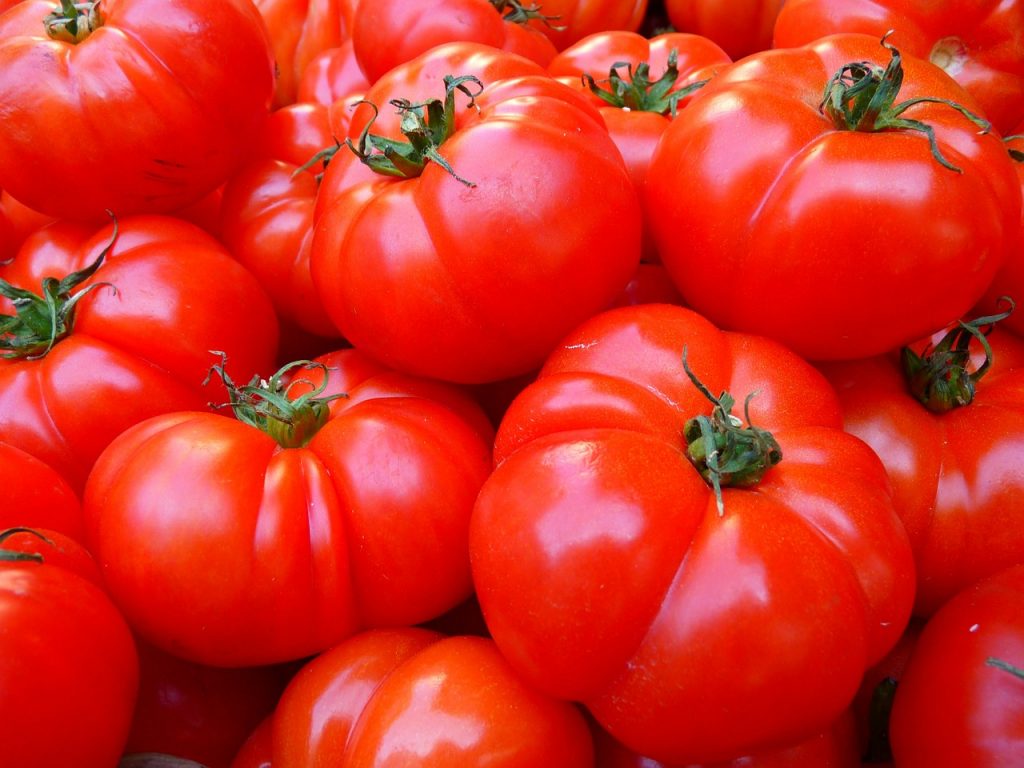 tomates gazpacho
