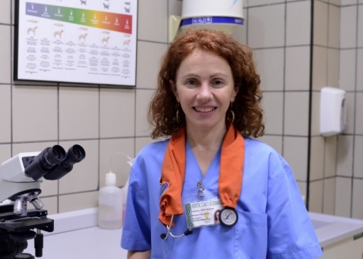 Dexametasona: de vieja conocida de médicos y veterinarios a estrella mediática 1 Moncloa veterinarios Moncloa