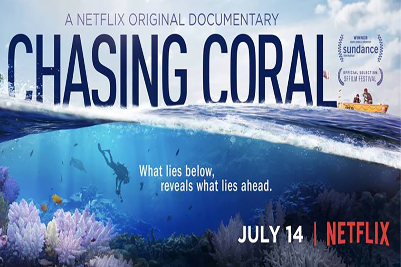 chasing coral netflix