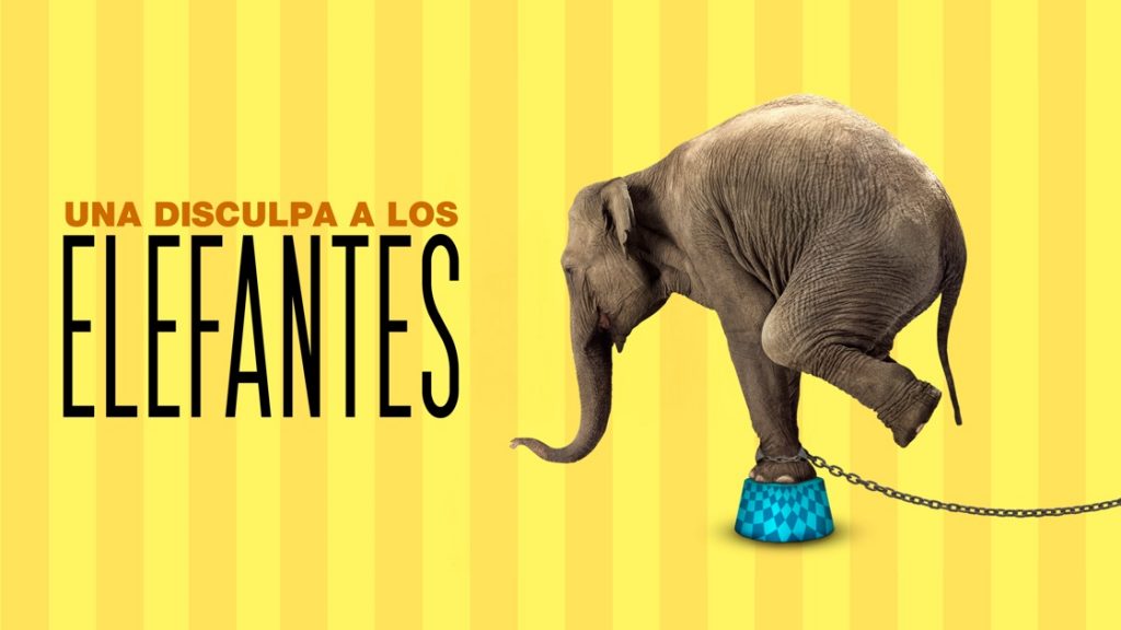disculpa elefantes hbo