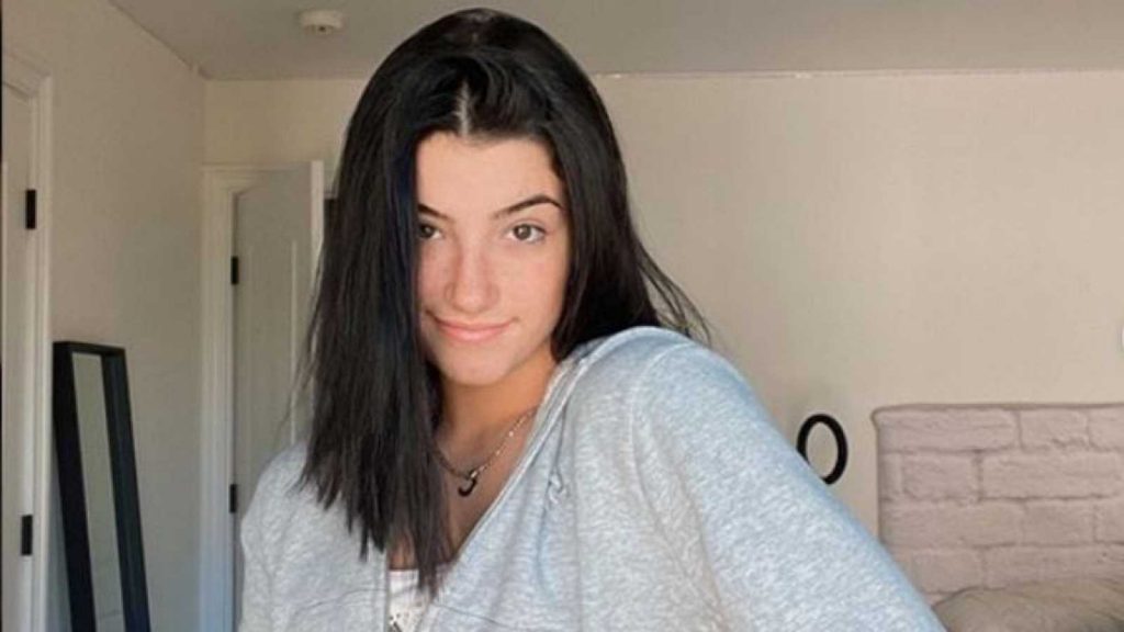 Por qué Tik Tok en España no sirve para vivir de él 2 Moncloa Charli d’Amelio Moncloa