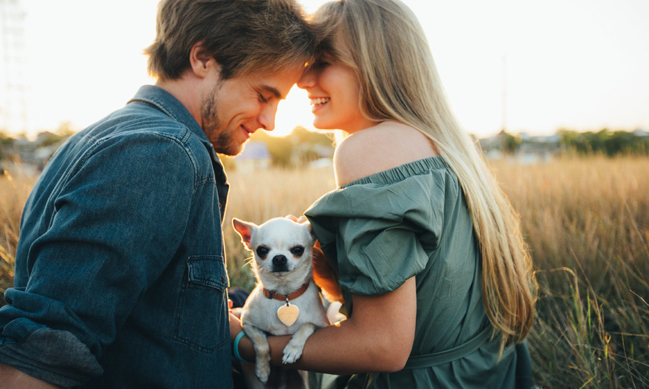 Las respuestas más eficaces para acabar con esos momentos incómodos a la hora de ligar 4 Moncloa amabilidad ligar