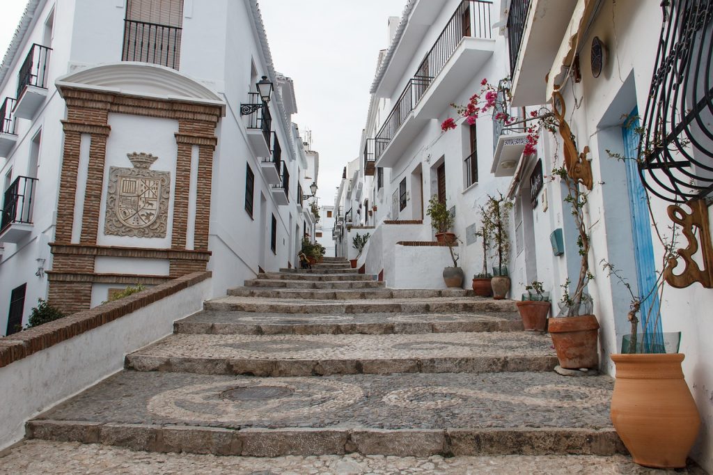 frijiliana