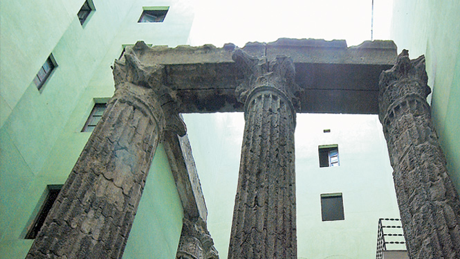 columnas