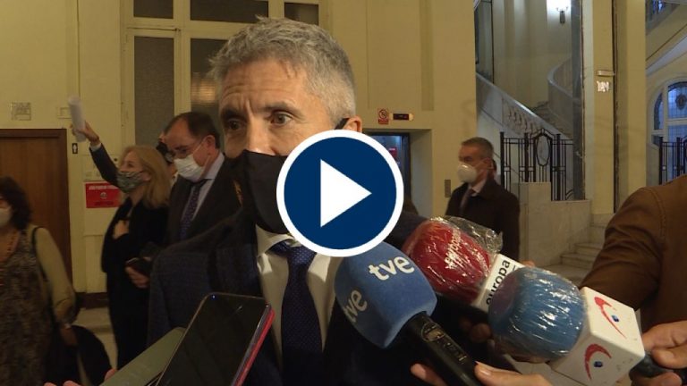 Marlaska: «Estamos preparados para todo lo que venga encima» Marlaska: «Estamos preparados para todo lo que venga encima»