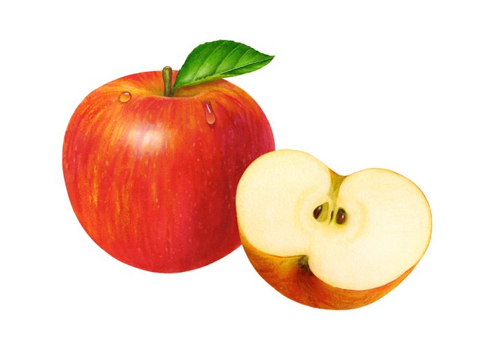 alimentos