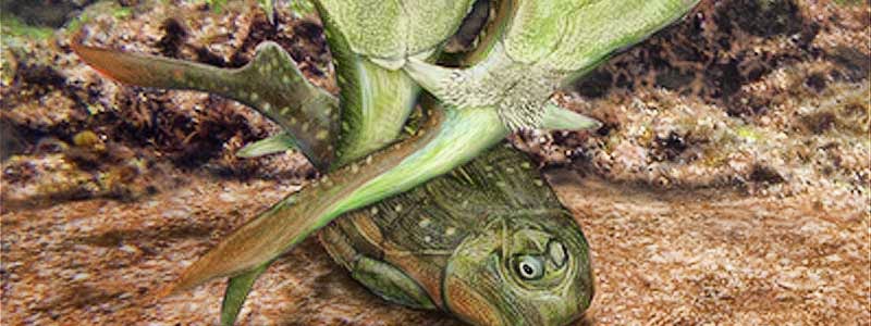 La historia del primer acto sexual según la ciencia 5 Moncloa acto sexual lado