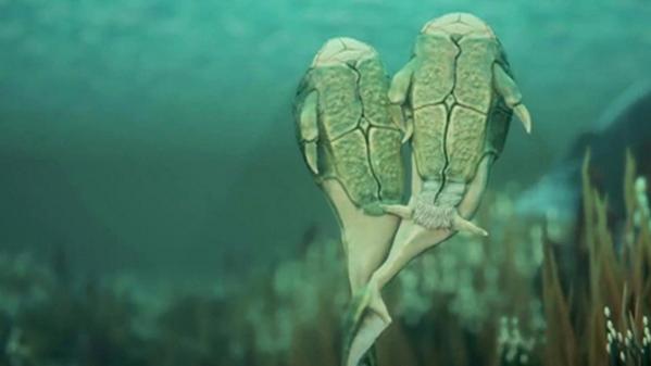 La historia del primer acto sexual según la ciencia 4 Moncloa descubrimiento