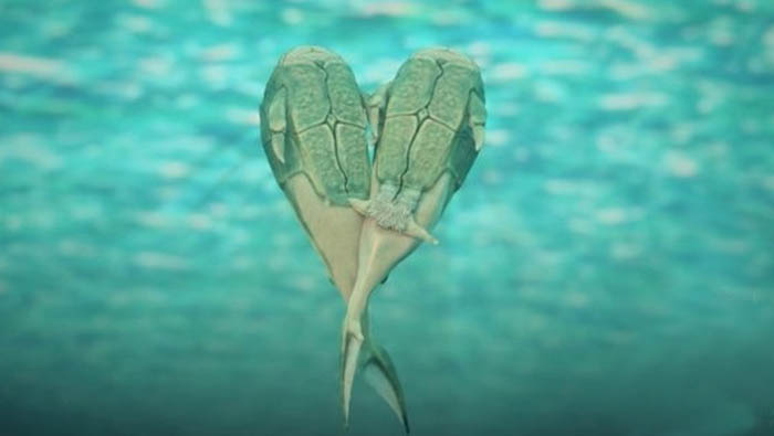 La historia del primer acto sexual según la ciencia 2 Moncloa placodermos