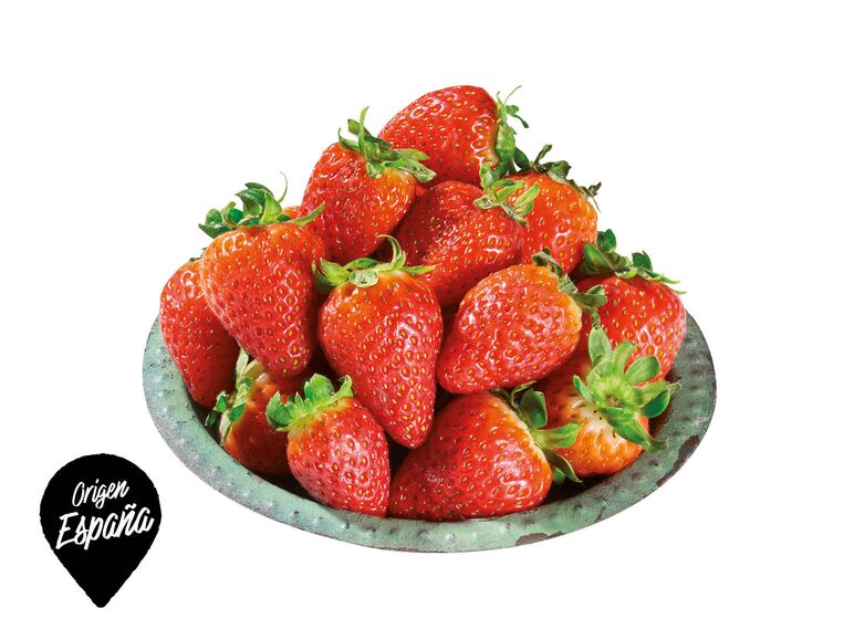fresa-lidl