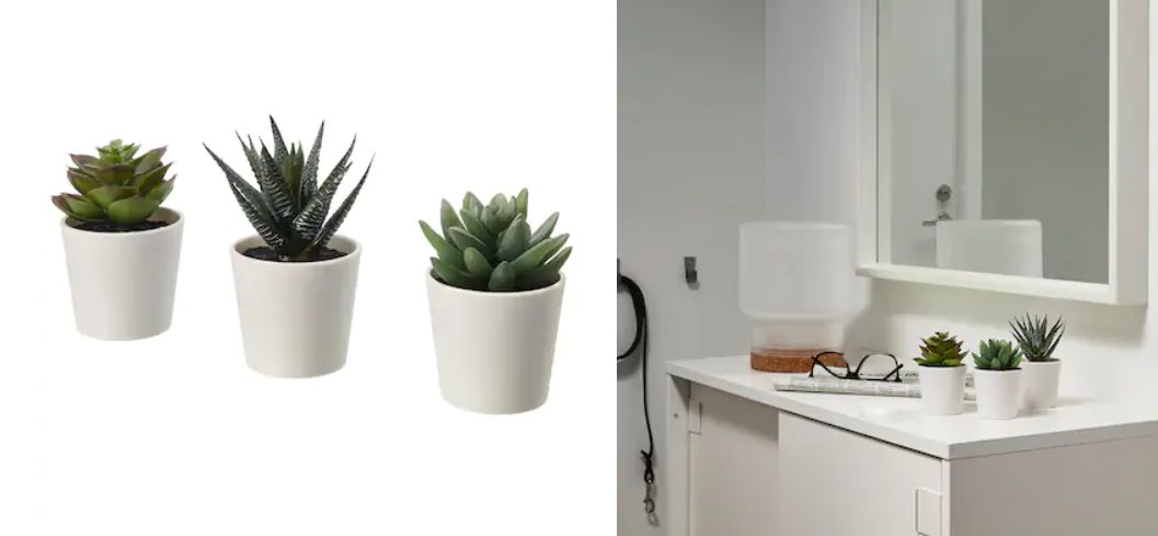 cactus ikea