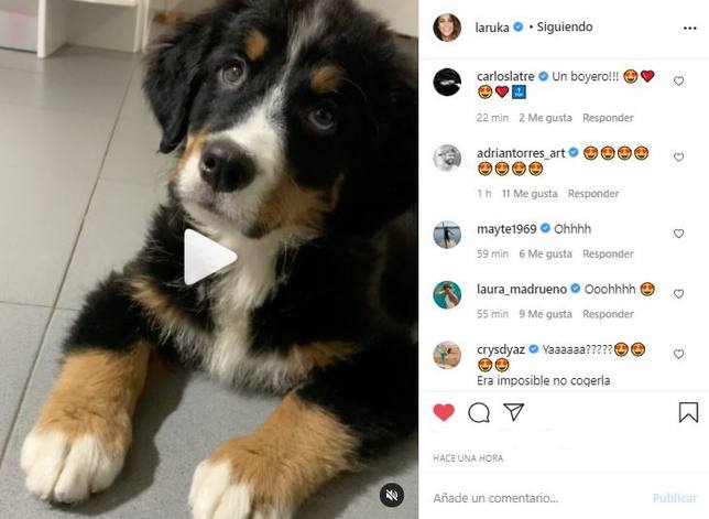 lua, su nueva amiga