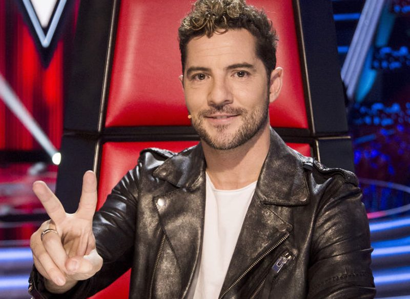 DAVID BISBAL, DESTINADO A LA VERSIÓN INFANTIL