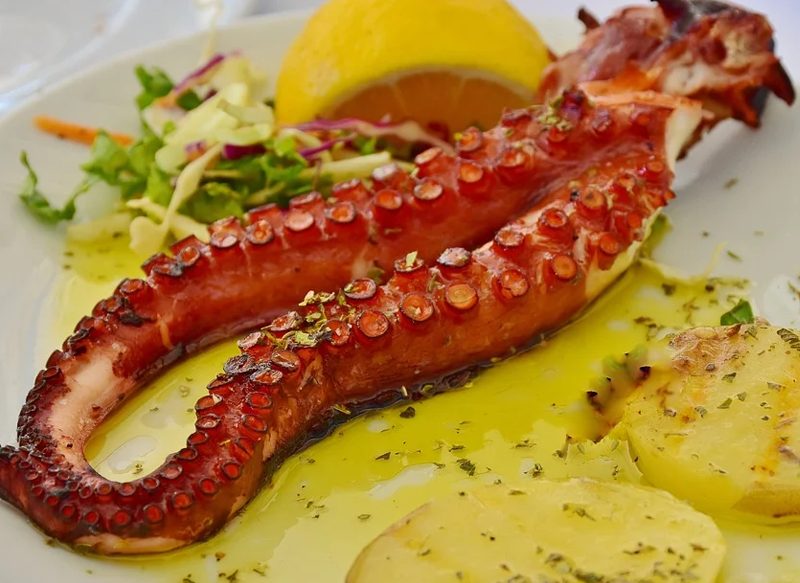 BENEFICIOS DEL PULPO