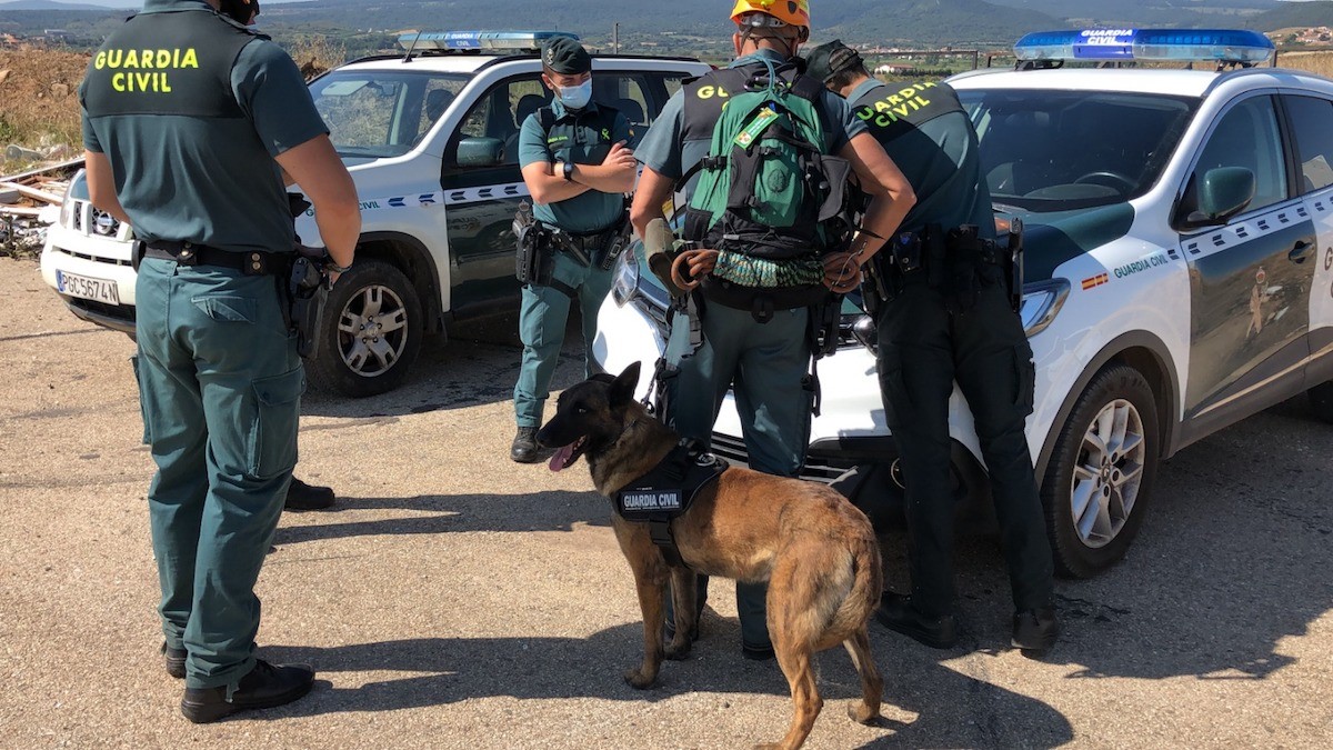 Organizan una batida este domingo