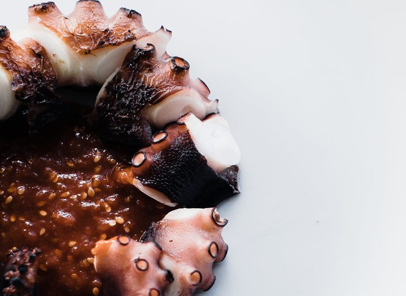 BENEFICIOS DEL PULPO