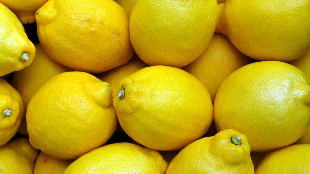 origen limon