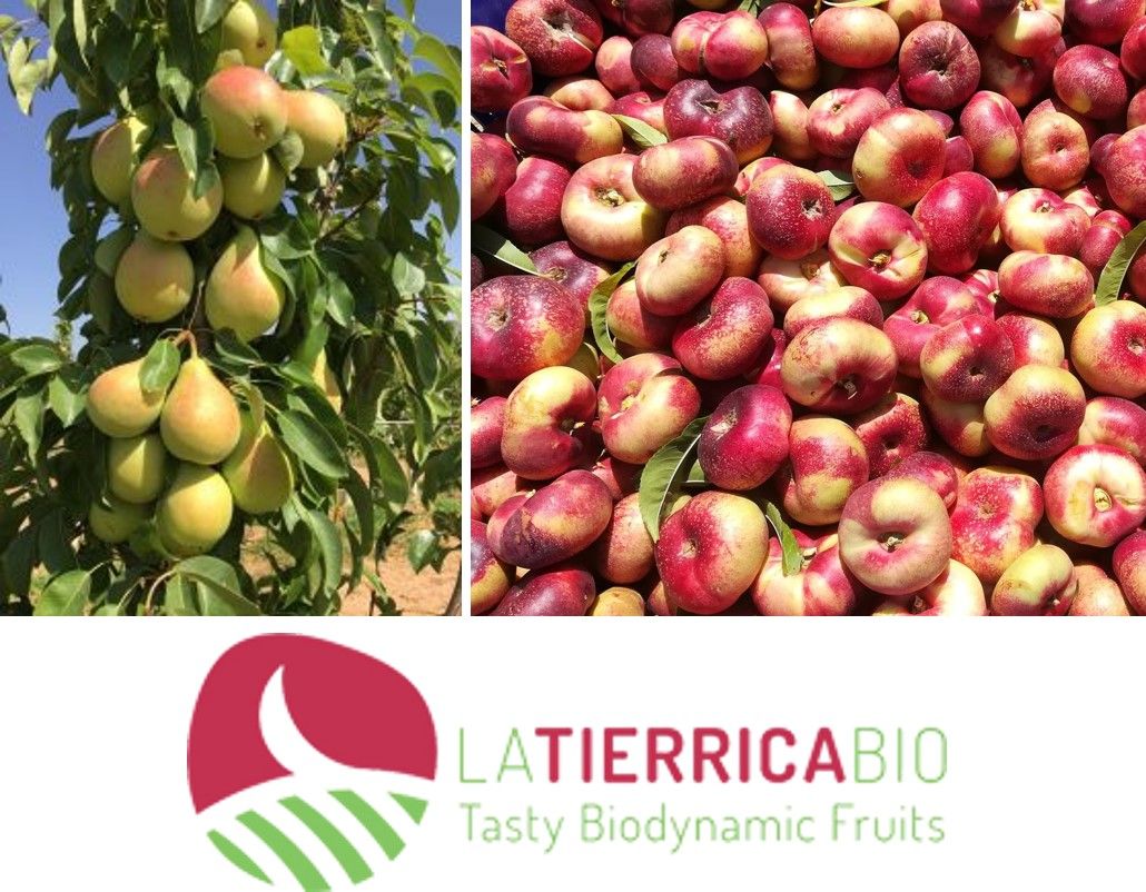 1634541866_La_Tierrica_Bio02