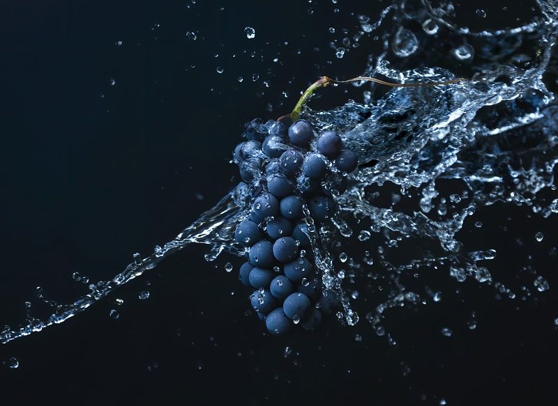 GRAN FUENTE DE VITAMINAS Y SUSTANCIAS TERAPÉUTICAS