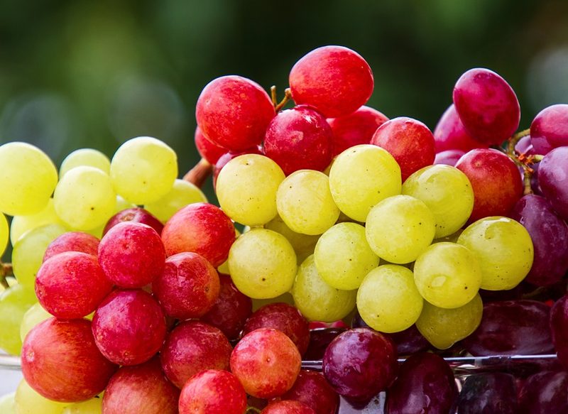 UNA FRUTA CON SUSTANCIAS NO NUTRITIVAS PERO MUY SALUDABLES