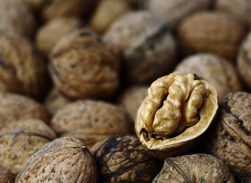 FRUTOS SECOS, TÉ VERDE Y CAFÉ PARA PREVENIR EL CÁNCER