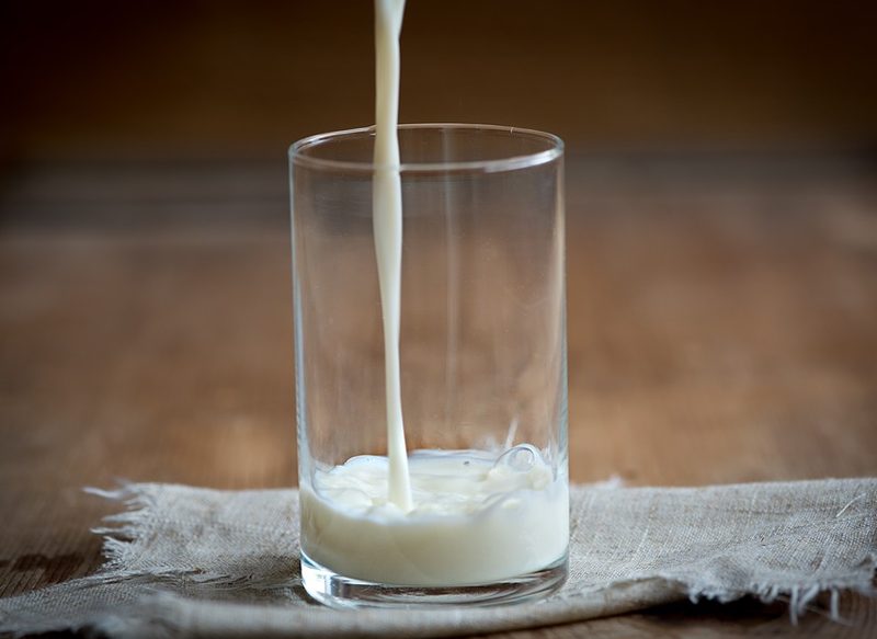 LA LACTOSA, UN AZÚCAR PRESENTE EN TODAS LAS LECHES DE MAMÍFEROS