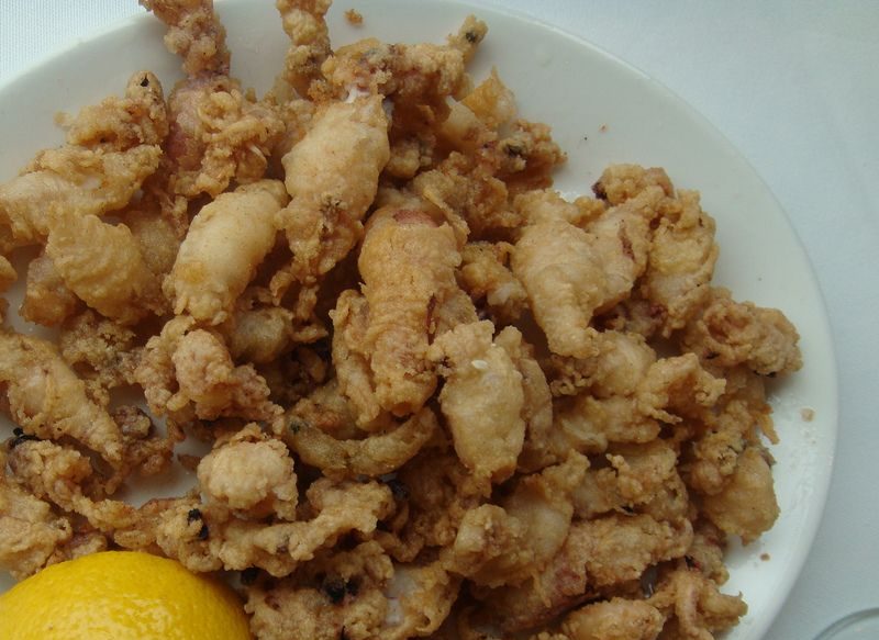 ¿CHIPIRONES O CALAMARES?