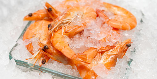 congelar marisco