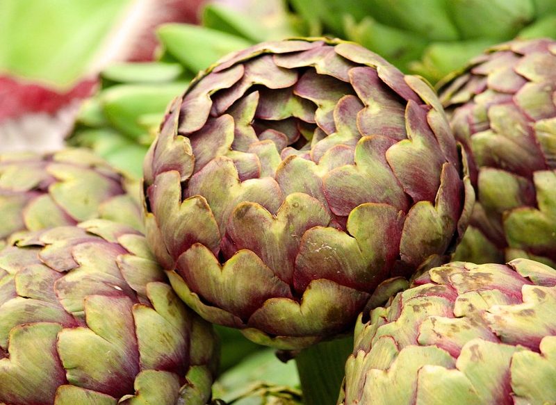 INGREDIENTES PARA PREPARAR LAS ALCACHOFAS CON BECHAMEL AL HORNO