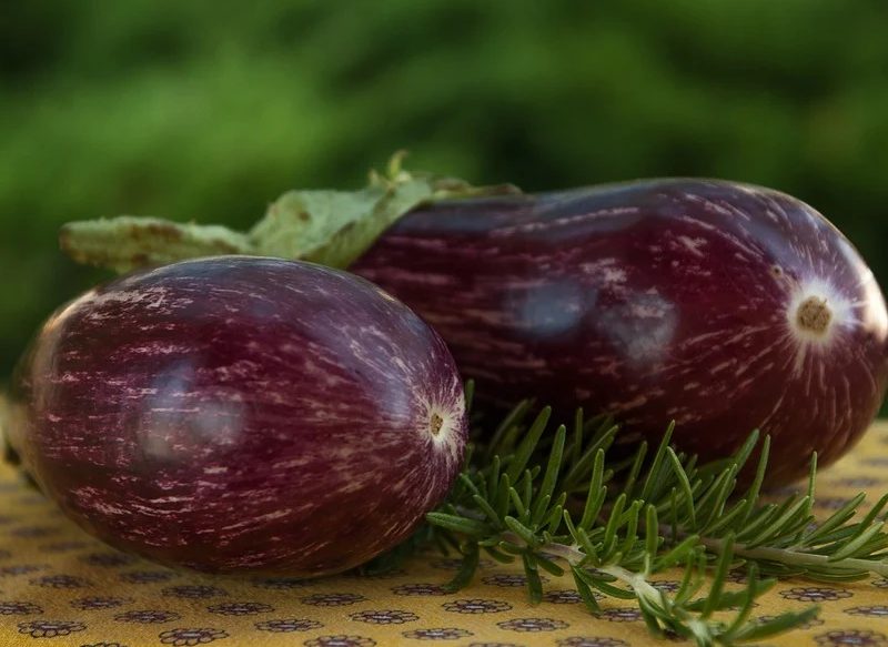 LA BERENJENA Y SUS MÚLTIPLES BENEFICIOS