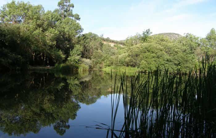 piedrabuena pueblos