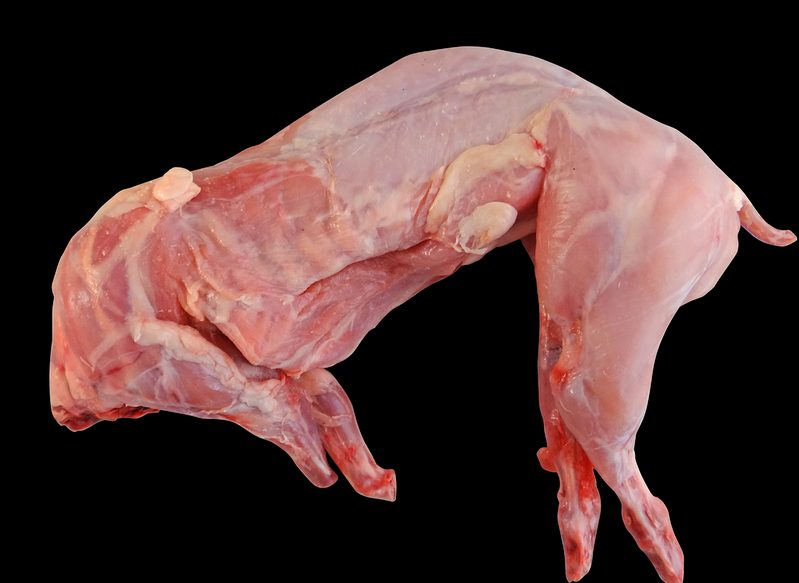 INGREDIENTES DE LA RECETA DE CONEJO AL AJILLO