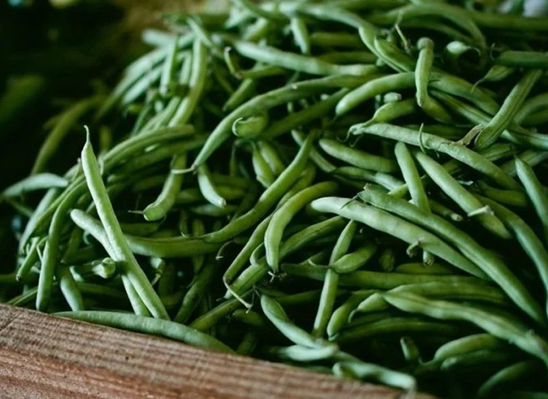 PASOS FINALES DE LA RECETA DE JUDÍAS VERDES CON SOFRITO DE TOMATE