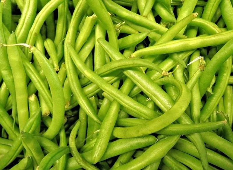VALOR NUTRICIONAL DE LAS JUDÍAS VERDES