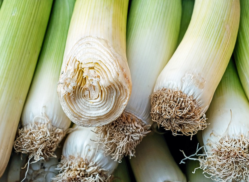 EL PUERRO PROTEGE CONTRA LAS ENFERMEDADES CARDIOVASCULARES