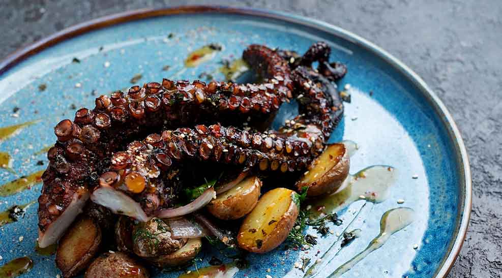 pulpo tamano