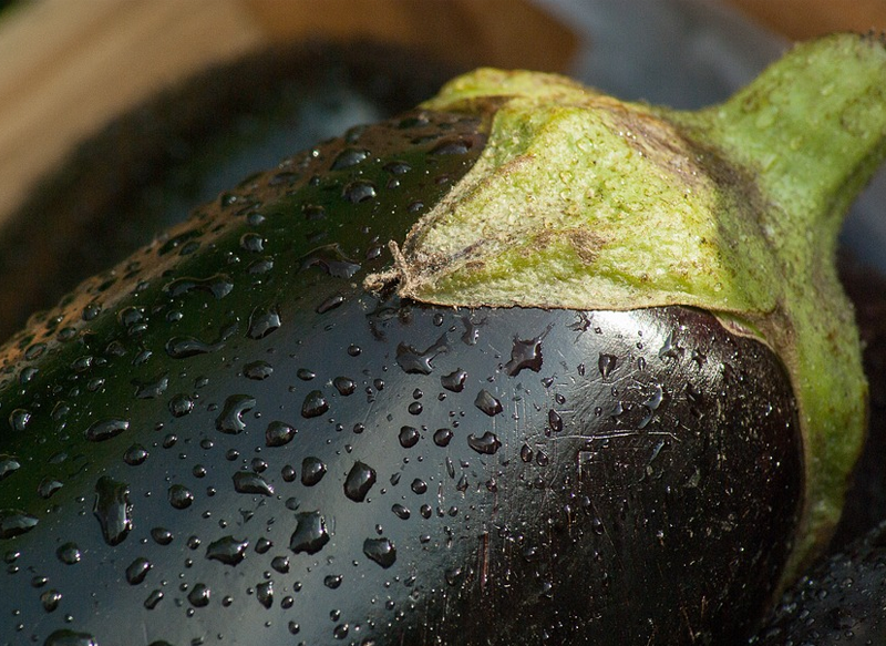 LA BERENJENA Y SUS NUMEROSOS BENEFICIOS