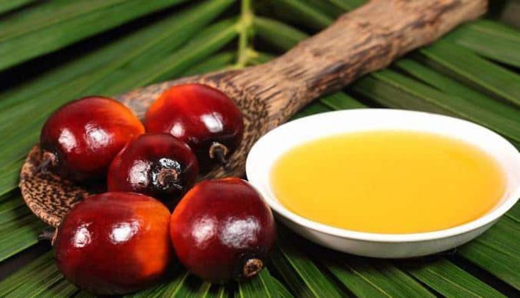 Azúcar y aceite de palma: elevados de grasas trans