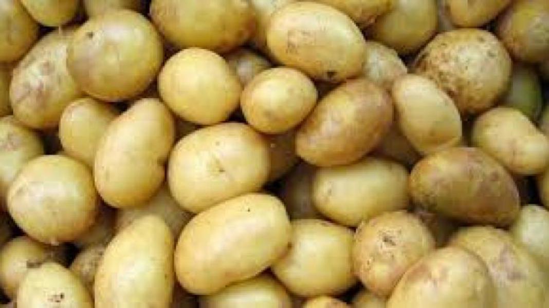 ¿Qué tipo de patata es mejor para bravas?